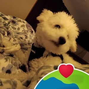 Meet your Posher, Karen